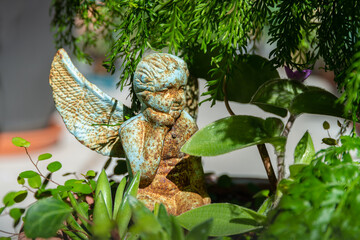 Rusted cast iron garden angle in a pot