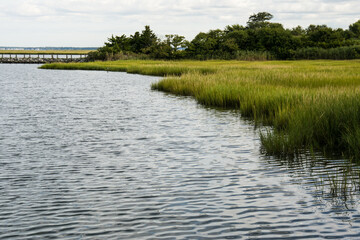 Rippled bay water with marsh grass and sky