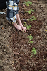 Mani che lavorano nel campo