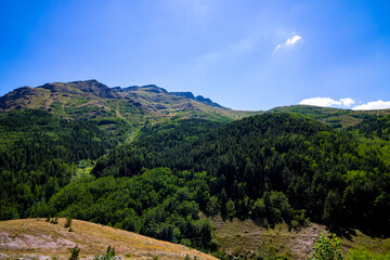 Landscape of the forest covered mountains 