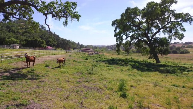Beautiful rising aerial over a horse farm or ranch in Santa Barbara County, California.