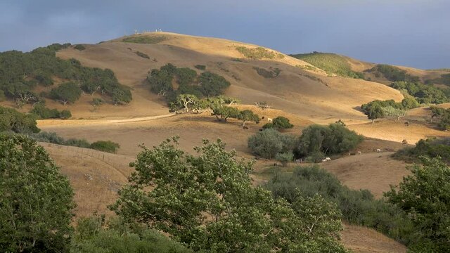 Beautiful time lapse of oak trees and grasslands of Central California San Luis Obispo with hills and mountains.