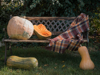 Wooden bench with pumpkins on it