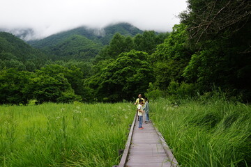 親海湿原　家族　木道　ハイキング　夏休み
