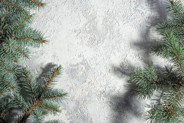 christmas white-gray background with texture of spruce branches top view
