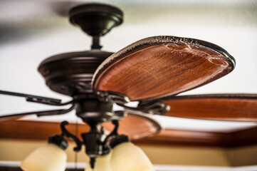 Fototapeta na wymiar dust buildup on blade of ceiling fan