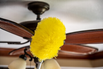 Fototapeta Using a wand feather duster to remove and clean dust from a ceiling fan obraz