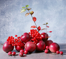 Still life of apples, viburnum and hawthorn berries against blue background. Composition of red autumn fruits.