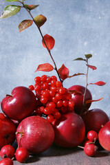 Still life of apples, viburnum and hawthorn berries against blue background. Composition of red autumn fruits and leaves.
