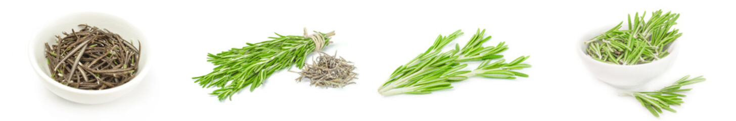 Collage of rosemary isolated on a white background cutout