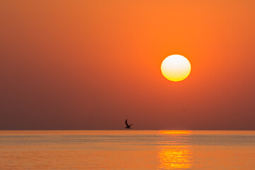 warm orange sun on the horizon in egypt