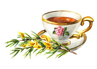 Cup of tea with rooibos. Hand drawn watercolor illustration isolated on white background
