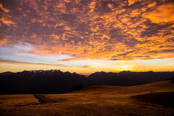 Obraz premium Beautiful landscape view of Hurricane Ridge in Olympic National Park during sunset (Washington).