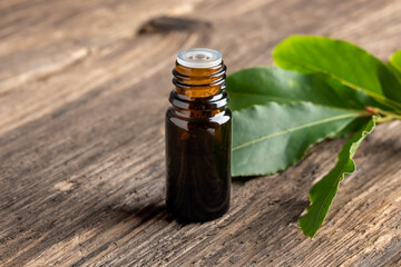 A bottle of bay leaf essential oil with fresh bay leaves