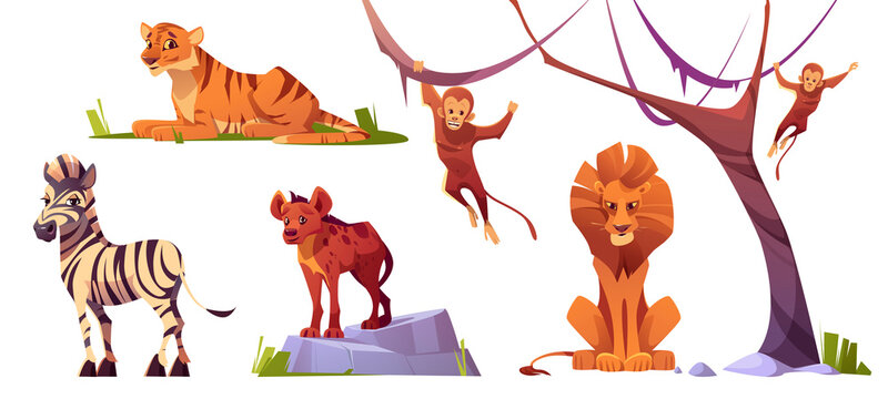 Cartoon wild animals tiger, monkeys, hyena, zebra and lion with ape. Jungle inhabitants predators and herbivorous in zoo park or safari outdoor area. Beasts in fauna, isolated vector illustrations set