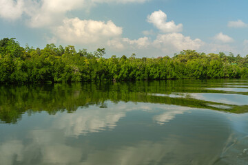 Fototapeta na wymiar Coggala lake green landscape, Sri Lanka