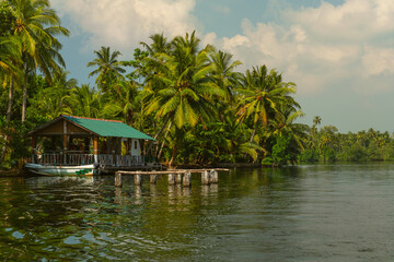 Fototapeta na wymiar Lake green landscape, Koggala, Sri Lanka