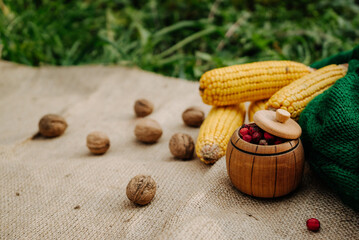 autumn harvest, corn, nuts, red berries on a brown tablecloth in the garden