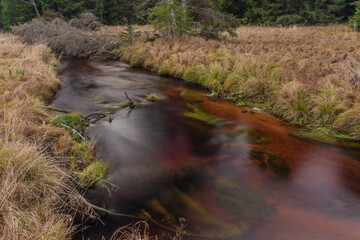 Jezerni creek in autumn color morning with red water and dry grass on meadow