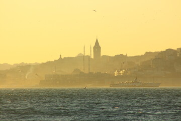 Fototapeta premium Cityscape of Istanbul with Galata Tower and a ferry