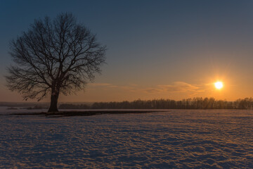 sunset in winter