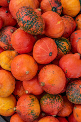 medium-sized orange pumpkins lie on top of each other