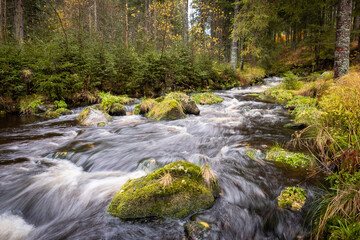 Naklejka na ściany i meble dominant stone in water stream, colorful autumn forest, bohemian, czech republic