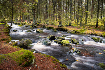 Naklejka na ściany i meble waterfall in autumn forest, beautiful stream long exposure shot, bohemian forest