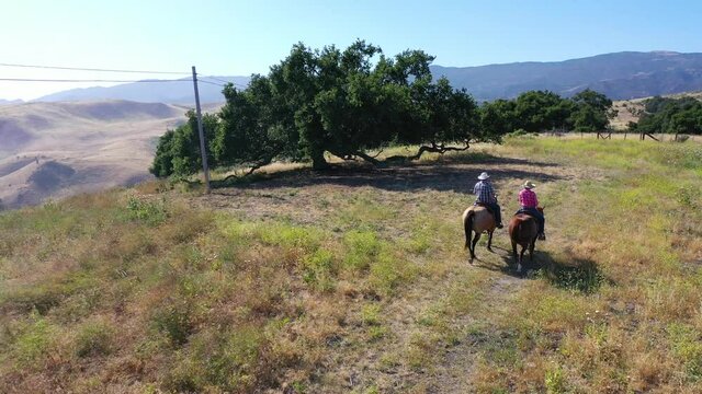 Aerial retired couple riding horses at mountaintop oak trees on a ranch near Santa Barbara, California. 