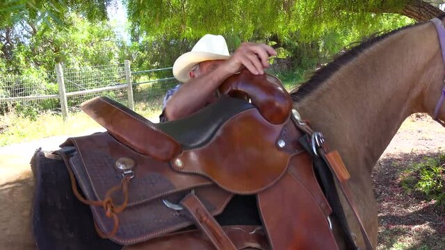 A senior cowboy puts saddle on his horse assisted by woman on a ranch.
