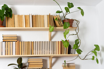 Light wooden bookshelves with hardback overturned books in white interior, indoor flowers on the...