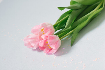 A bouquet of pink tulips on a soft blue background with pink confetti. Valentine's day, March 8, birthday, mother's day and Easter. Copy space