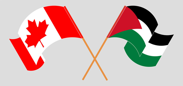 Crossed and waving flags of Palestine and Canada