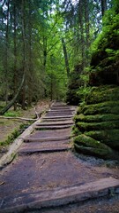 schöner wanderweg im wald mit felswand