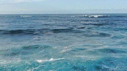 surf and sea source of healthy wealth