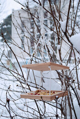 Wooden bird feeder in winter.
