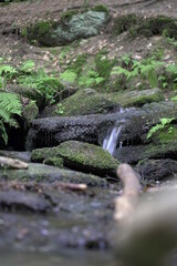 Wasserfahl Wasser Natur Bayrischerwald