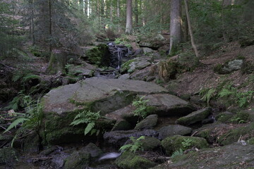 Wasserfahl Wasser Natur Bayrischerwald