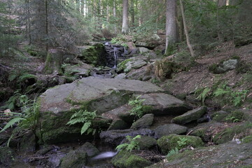 Wasserfahl Wasser Natur Bayrischerwald