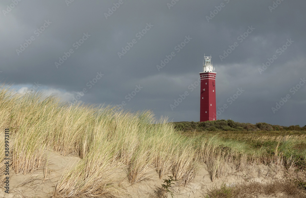 Wall mural west head lighthouse in zeeland, niederlande