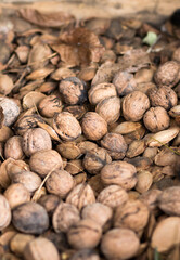 Walnuts and apricot kernels close up shallow DOF