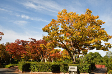 万博記念公園　秋の訪れ