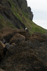 Icelandic nature, Landscape in Summer
