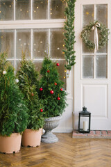 Winter rustic interior decorated for New year with Christmas trees. Winter exterior of a country...