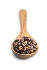 Roasted coffee beans on wooden spoon
