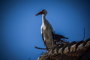 Mulhouse is a city in eastern France.