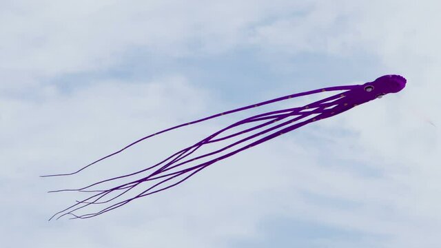 Kite in the Octopus. Violet octopus with long tentacles slowly hovers in the sky
