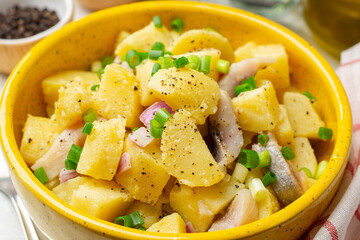 Potato salad with salted herring and onion in ceramic bowl on concrete background