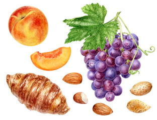 Grape bunch with leaf croissant peach almonds food set watercolor illustration isolated on white background