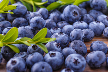Fresh blueberry background. Blueberry Texture Close Blueberry Antioxidant Organic Superpeed Bowl Concept Healthy Nutrition